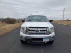Thumbnail Photo 58 for 2013 Ford F150